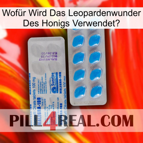 Wofür Wird Das Leopardenwunder Des Honigs Verwendet new15